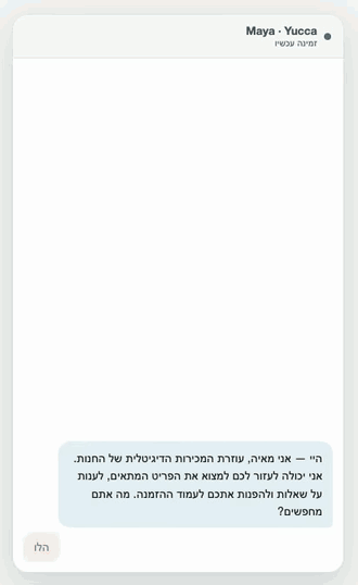 Recording of a real chat on yucca.co.il: a shopper asks who makes a brand, Maya says she does not know, offers to connect the team, and collects the shopper's name and email.